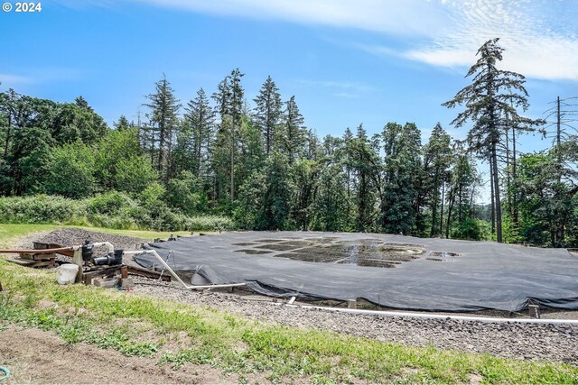 23175 NE Ridge Rd Unit 1, Gaston, OR 97119