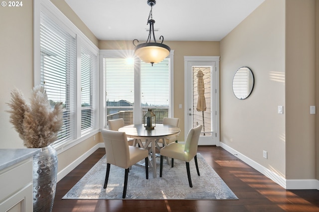 dining room with dark wood-type flooring