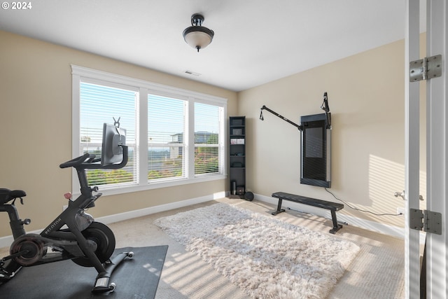 workout area featuring carpet flooring