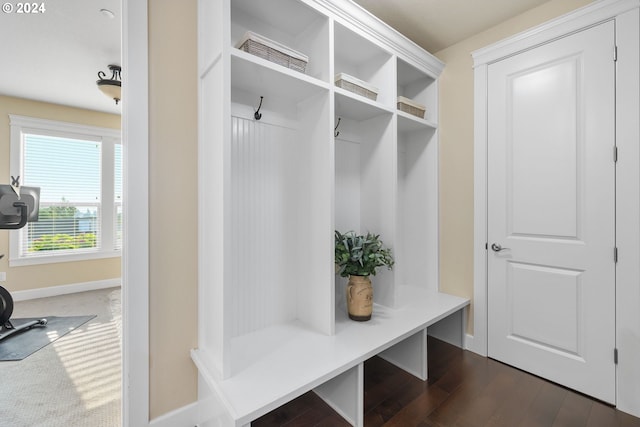 mudroom featuring dark hardwood / wood-style floors