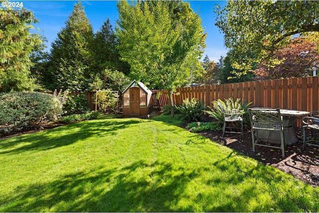 view of yard with a storage shed