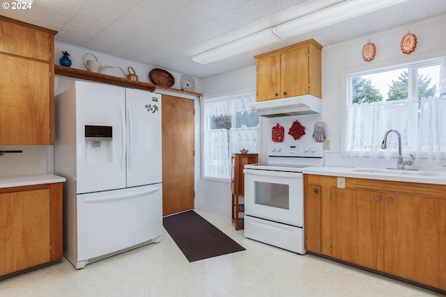 kitchen with white appliances and sink