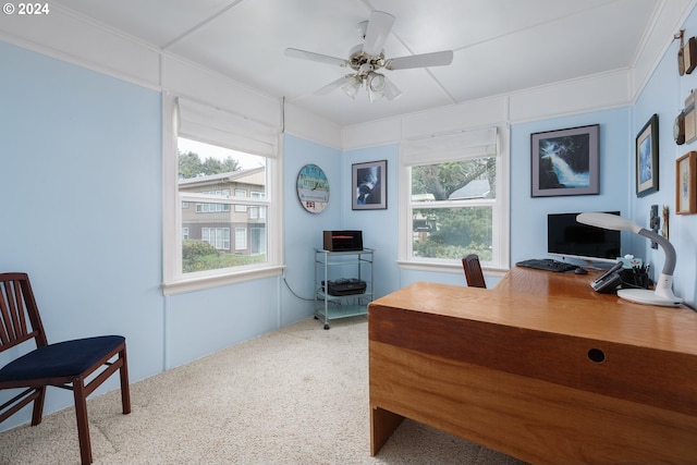 office featuring carpet, ceiling fan, and ornamental molding