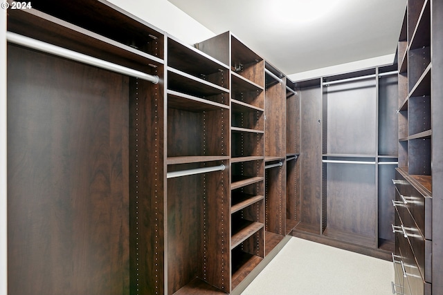 spacious closet with carpet