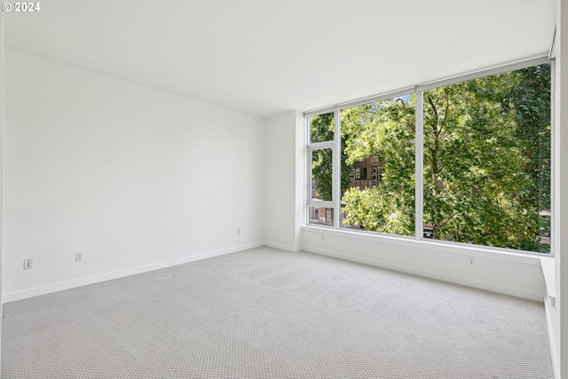 unfurnished room with light carpet