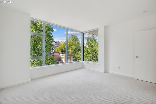 carpeted empty room featuring plenty of natural light