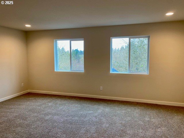 carpeted empty room featuring a healthy amount of sunlight