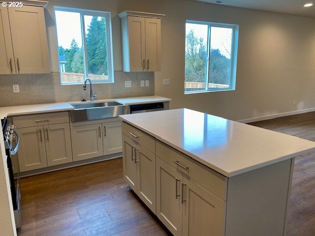 kitchen featuring sink, white cabinetry, dark hardwood / wood-style floors, a kitchen island, and decorative backsplash