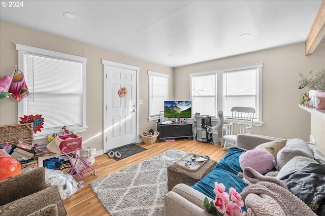 living room with wood-type flooring