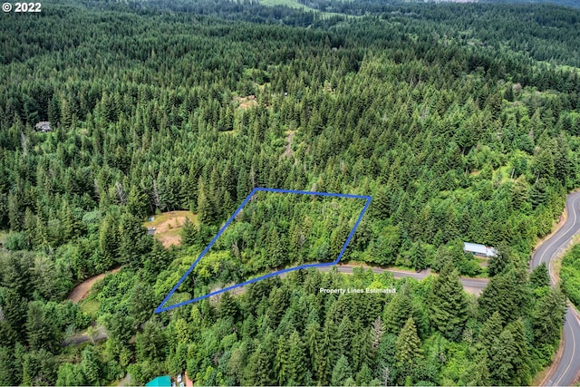 Listing photo 3 for Archer Mountain Rd, Skamania WA 98648