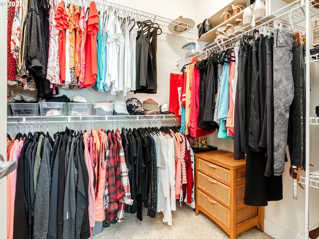 4374 M Loop, Washougal, WA 98671 - spacious closet with carpet flooring