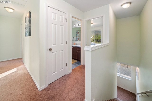 hallway with light carpet