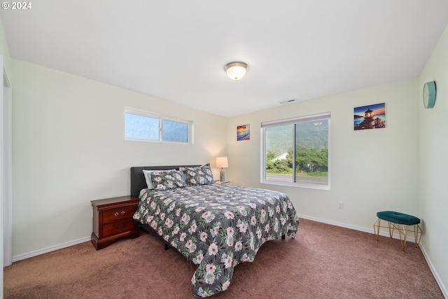 bedroom featuring carpet