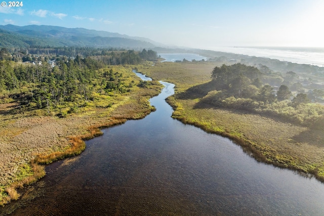 birds eye view of property with a water and mountain view