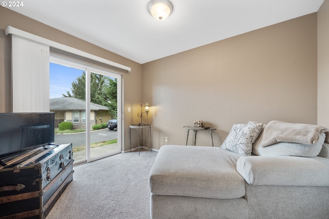 living room featuring carpet flooring