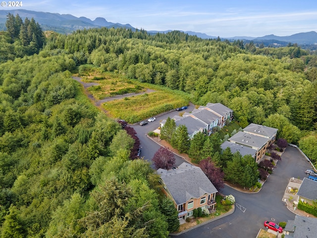 drone / aerial view featuring a mountain view