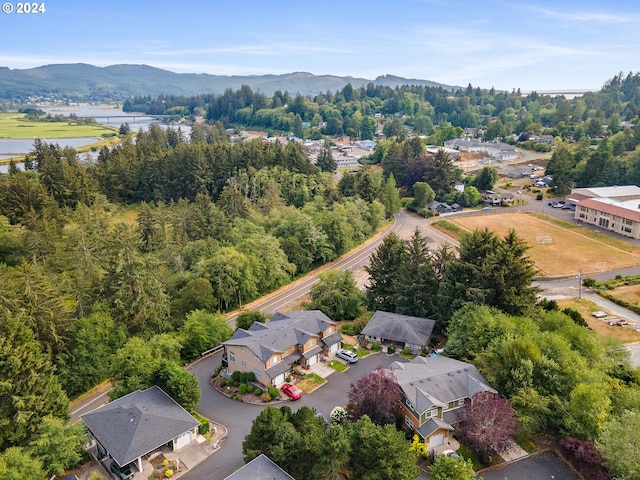 aerial view featuring a mountain view