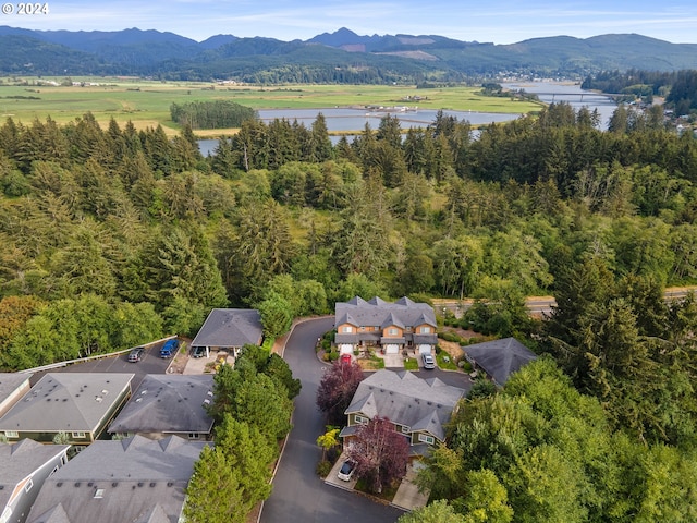 drone / aerial view featuring a mountain view