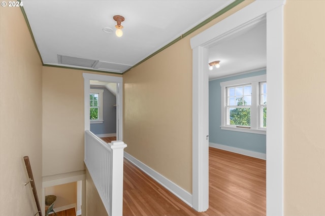 hallway featuring hardwood / wood-style flooring and a wealth of natural light