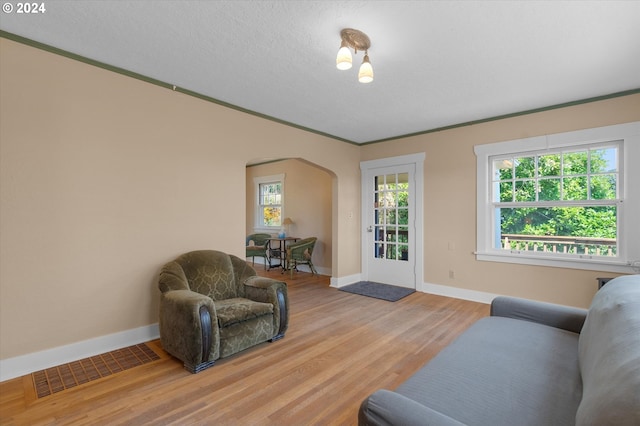 living room featuring light hardwood / wood-style floors, a wealth of natural light, crown molding, and a textured ceiling