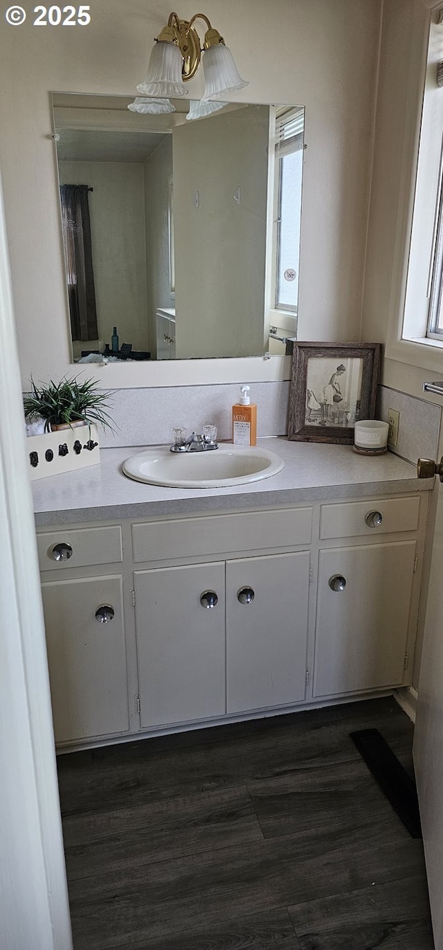 bathroom featuring wood finished floors and vanity