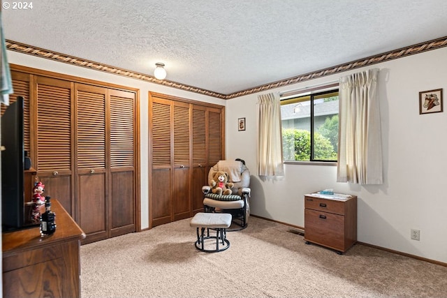 living area featuring a textured ceiling and light colored carpet