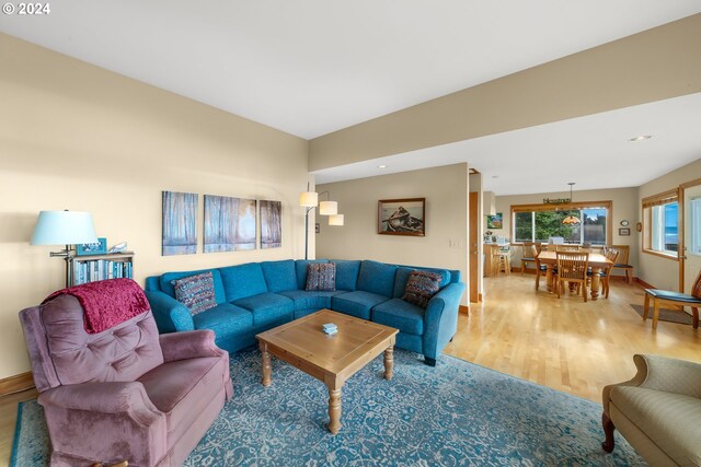 living room featuring wood-type flooring