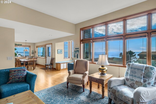 living room featuring wood-type flooring, a water view, and a wealth of natural light