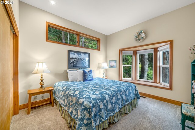 bedroom with a closet and carpet