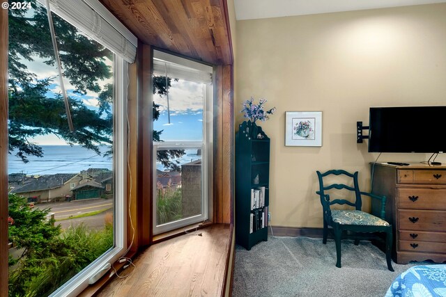 bedroom featuring hardwood / wood-style floors and wooden ceiling