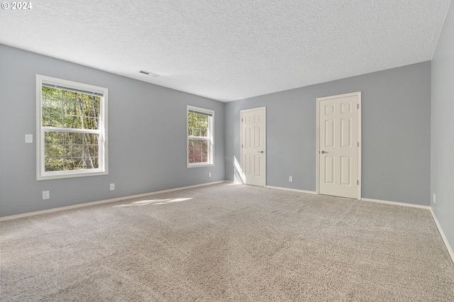 carpeted empty room featuring a wealth of natural light and a textured ceiling