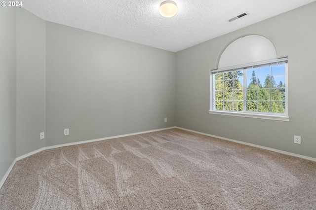 carpeted spare room featuring a textured ceiling