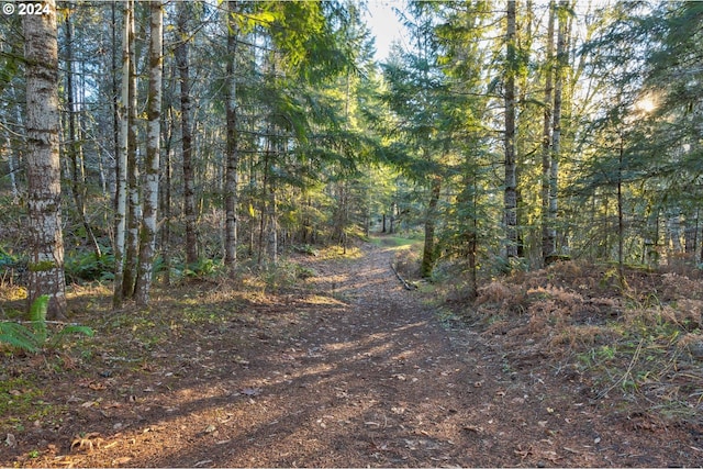 view of local wilderness