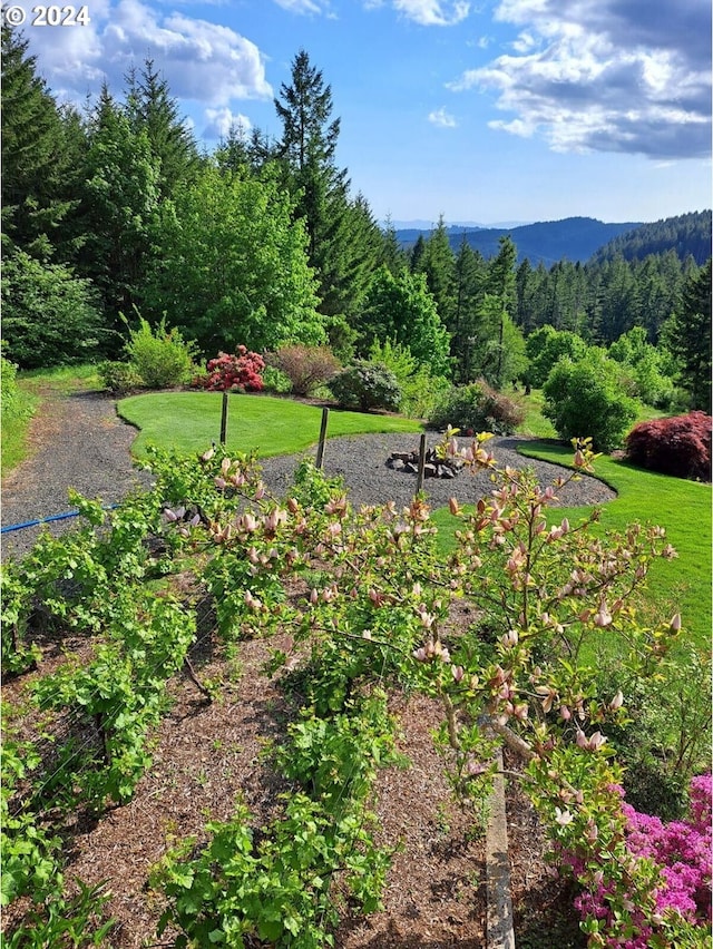 surrounding community with a mountain view and a yard