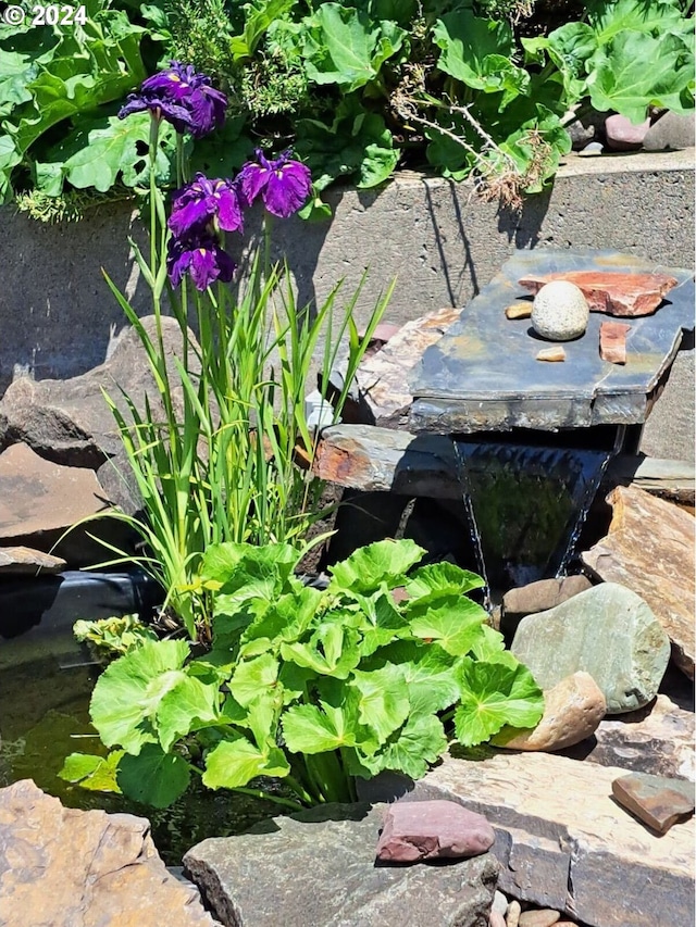 exterior details with a small pond