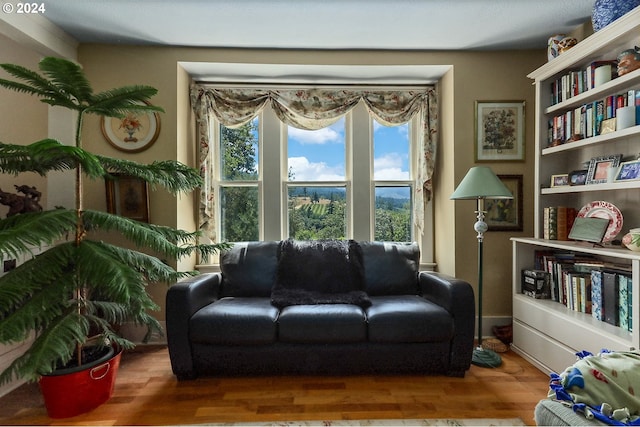 living area with wood finished floors