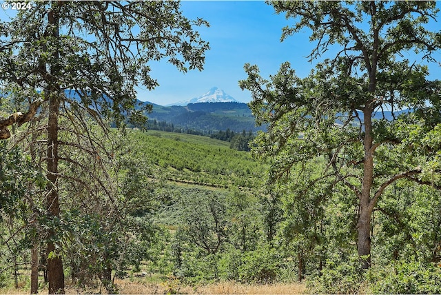 mountain view with a view of trees