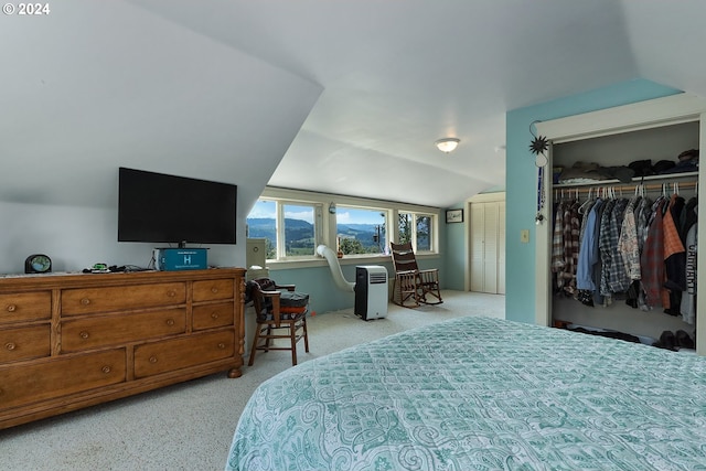 bedroom featuring a closet and vaulted ceiling