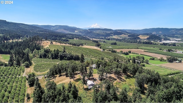 drone / aerial view featuring a rural view and a mountain view