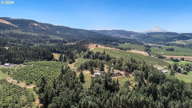 mountain view featuring a view of trees