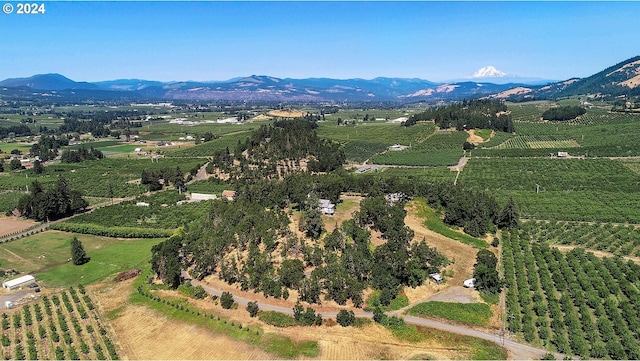 birds eye view of property with a rural view and a mountain view