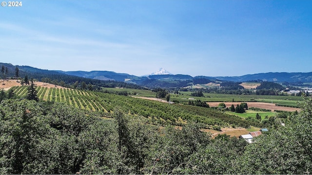 property view of mountains with a rural view