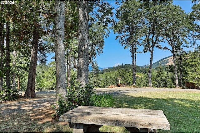 view of yard featuring a forest view