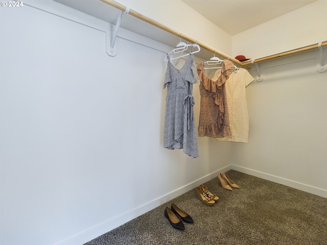 spacious closet featuring carpet flooring