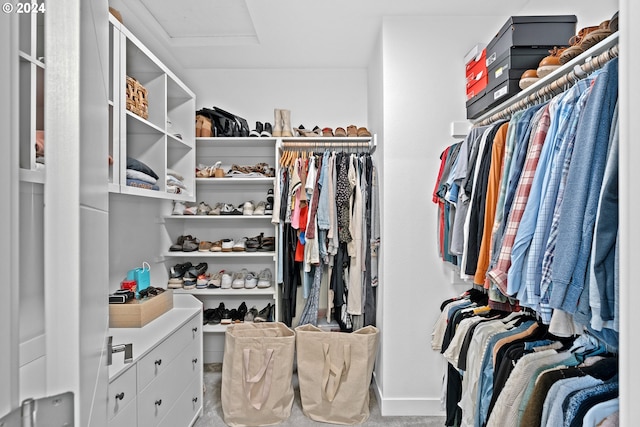 spacious closet featuring light colored carpet