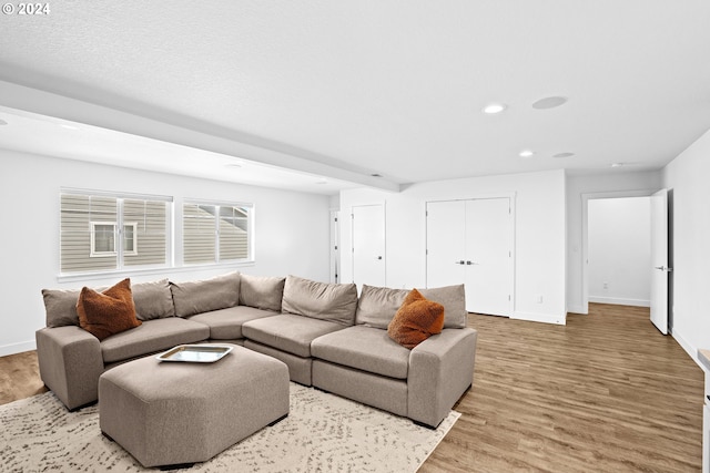 living room featuring hardwood / wood-style flooring