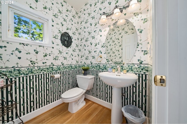 bathroom featuring toilet and hardwood / wood-style flooring