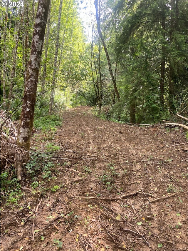 Listing photo 2 for 2110 Coal Creek Rd Lot 2, Longview WA 98632