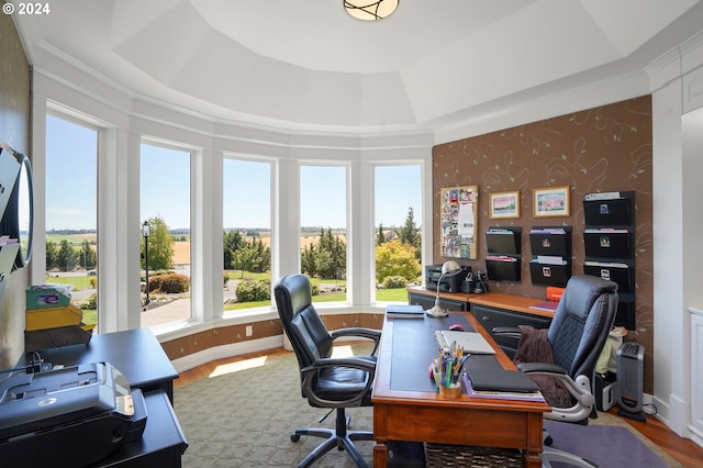 office area featuring hardwood / wood-style flooring and a tray ceiling