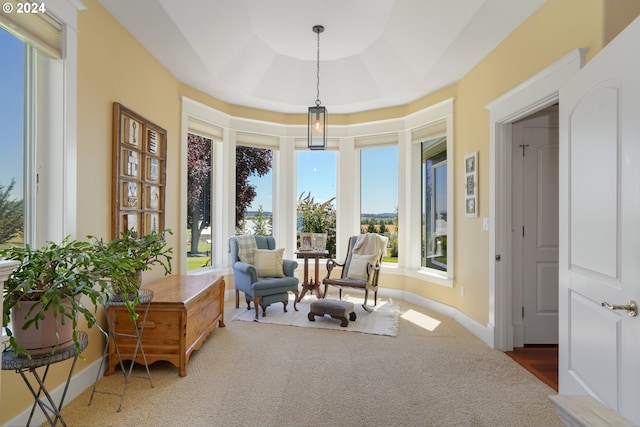 sitting room with carpet flooring and a raised ceiling